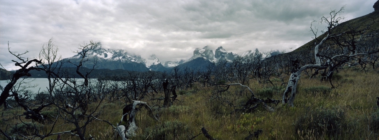 Chile, Southern Patagonia,  Torres del Paine