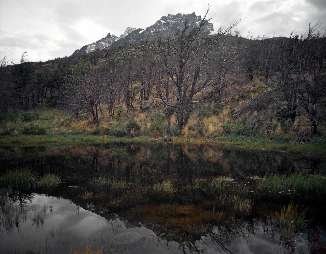 Chile, Southern Patagonia,  Torres del Paine