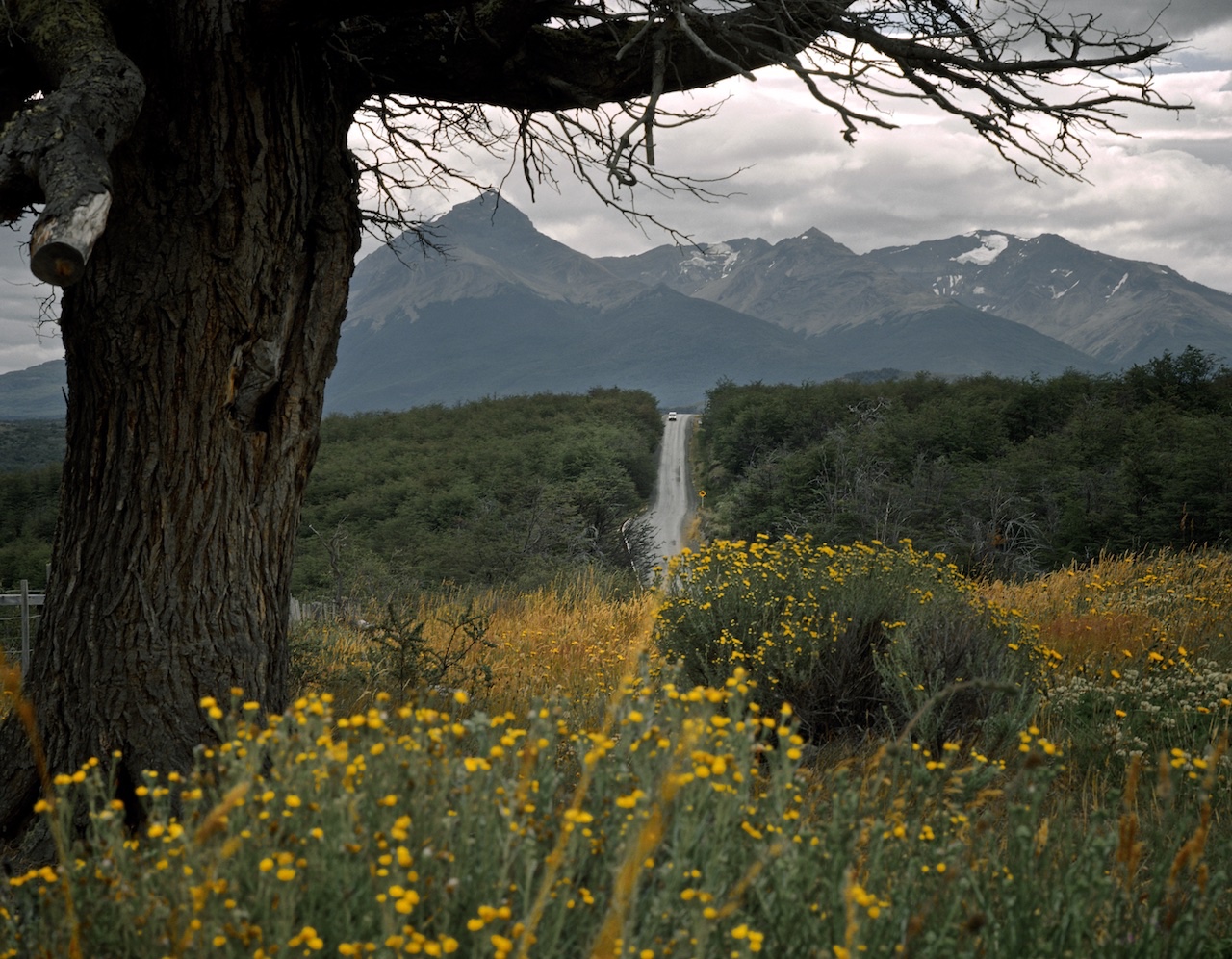 Chile, Southern Patagonia,  Puerto Natales