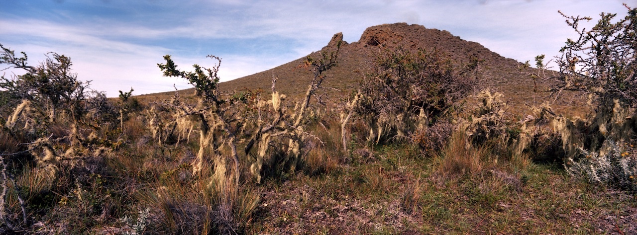 Chile, Southern Patagonia, Parque Nacional Pali Aike