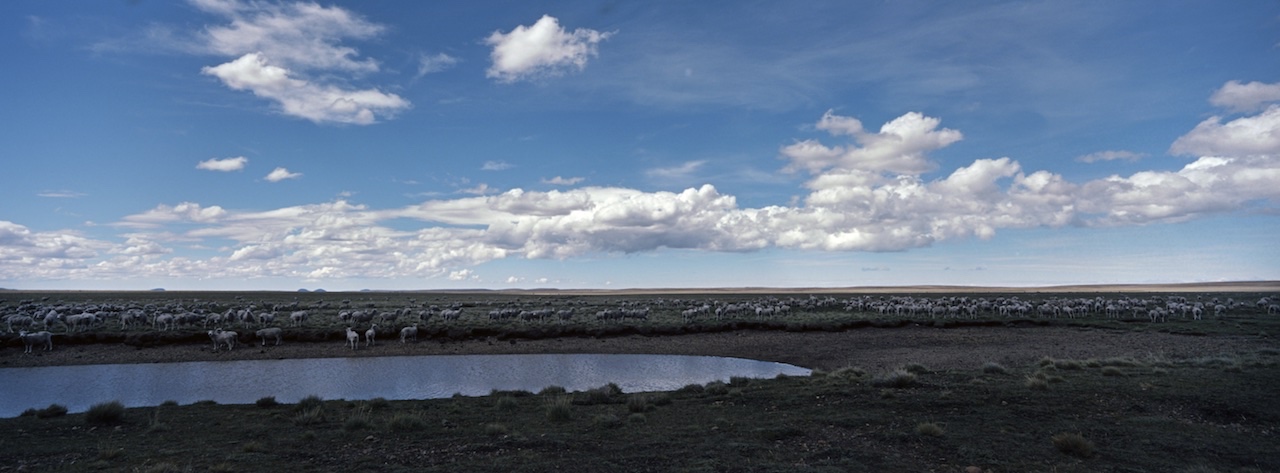 Chile, Southern Patagonia, Parque Nacional Pali Aike