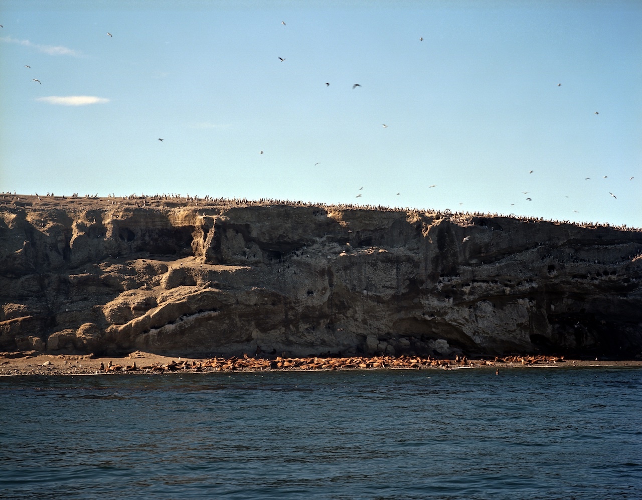 Chile, Southern Patagonia, Isla Marta